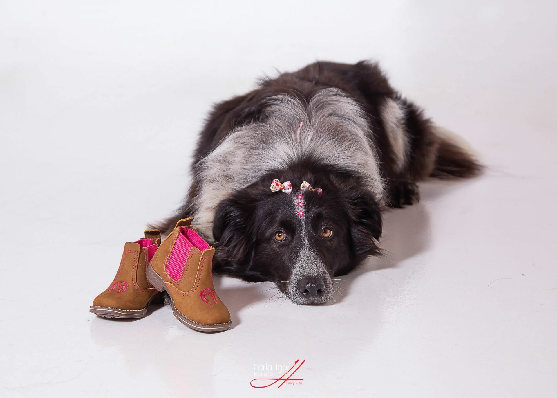 Foto Renata, Felipe e Pedro em uma linda espera... - Imagem 24